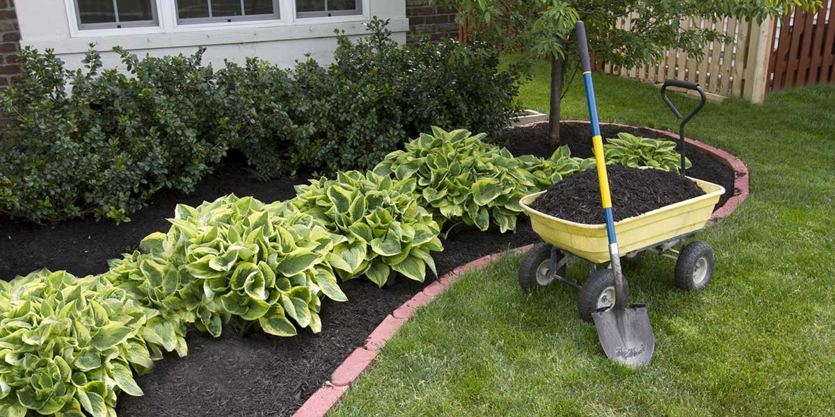 come fare un giardino fai da te come fare un giardino fai da te
